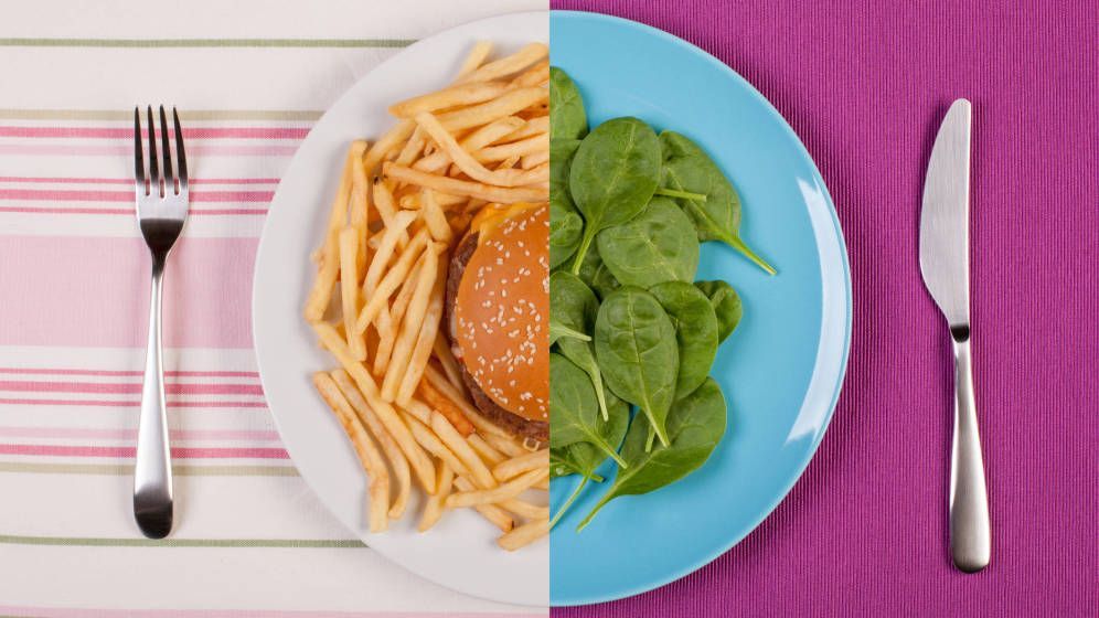 Mejores alimentos para perder peso